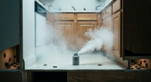 Are Cockroach Bombs (Foggers) Actually Effective?
